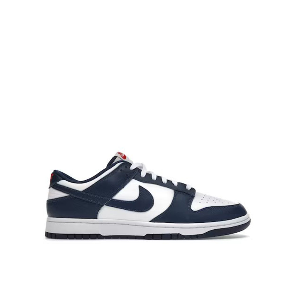 Nike Dunk Low Valerian Blue